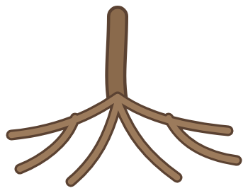 Wurzeln